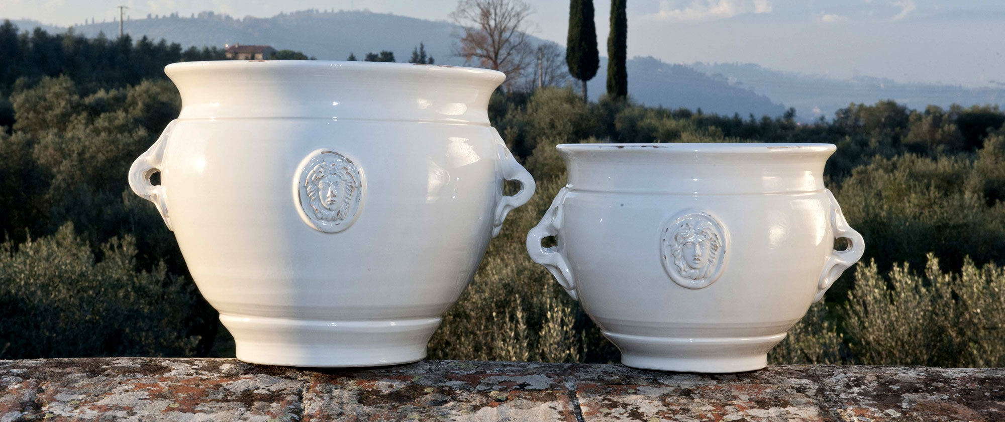 Stemma Medici 5